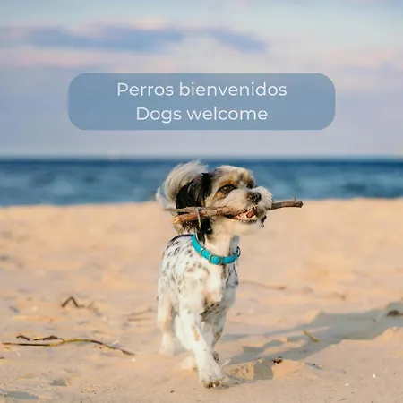 Sol En El Centro Del Cotillo, 1 Minuto De La Playa, 2 Habitaciones, Terraza Y Wifi Apartment *